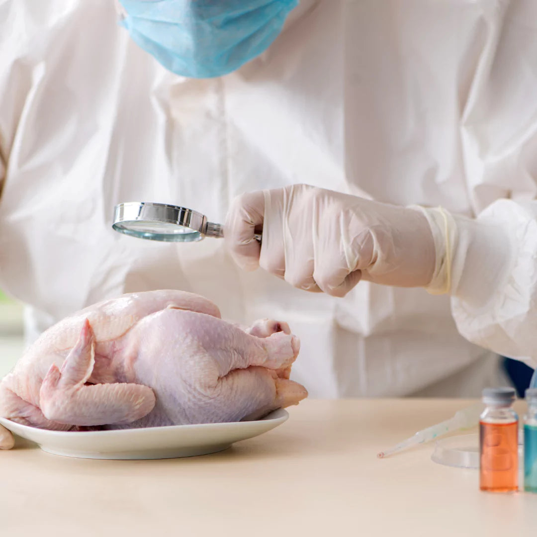 Meat Processing Consultant