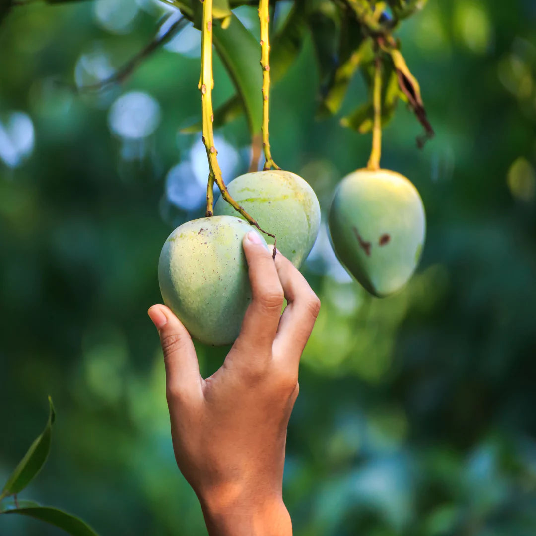 Organic Food Consultant