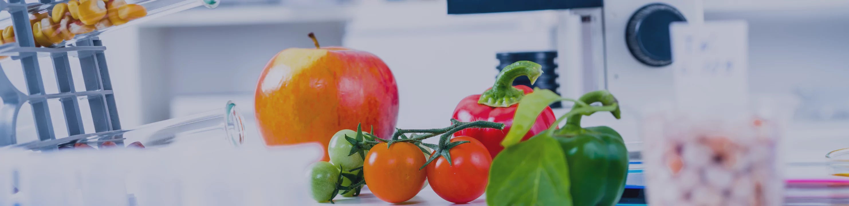 Food Consultant in Chennai & Bangalore