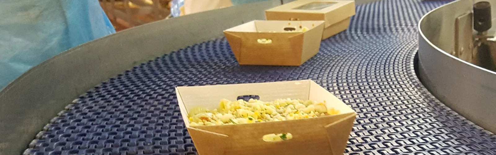 Protein Chips Manufacturing
