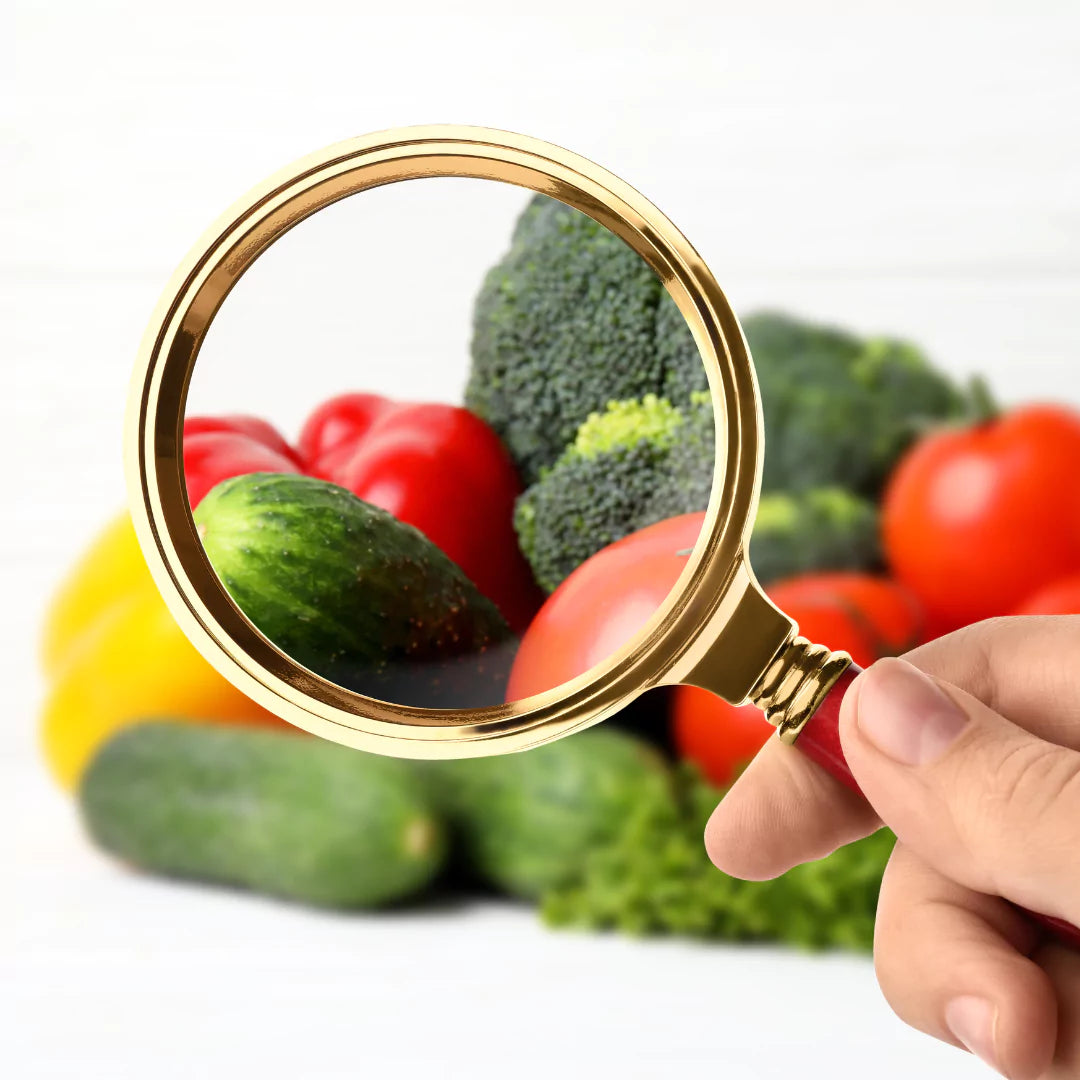 Protein Snacks Manufacturers