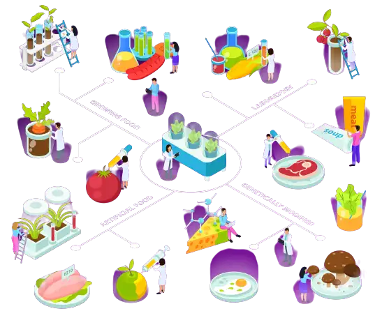 Food Consulting Service