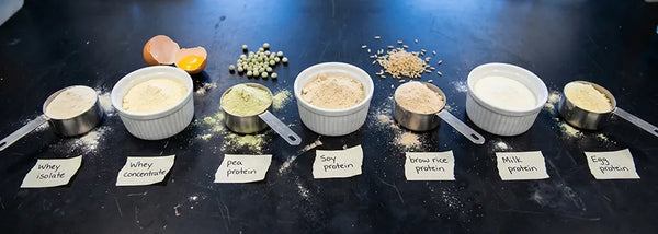 🥛 Protein Sources